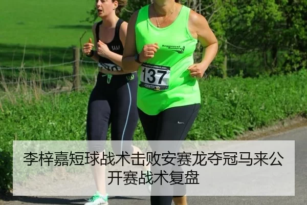 李梓嘉短球战术击败安赛龙夺冠马来公开赛战术复盘